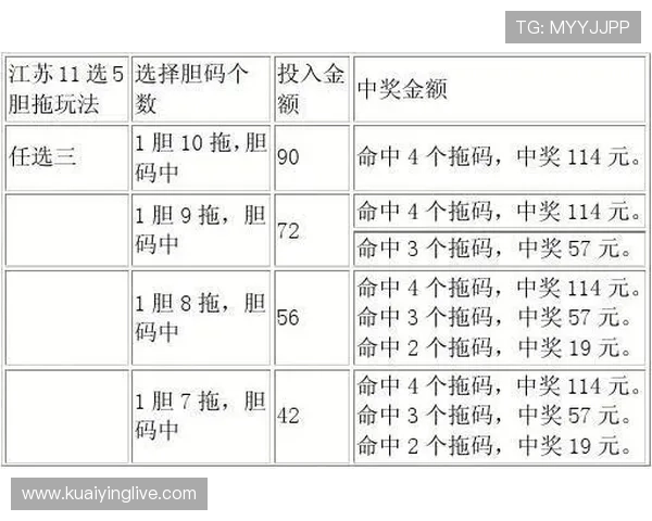 11选5历史数据分析与趋势预测探索：从开奖规律到投注策略解析
