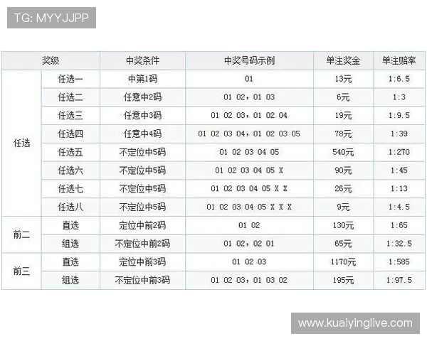 11选5视频揭秘如何精准分析选号技巧与投注技巧提升中奖概率